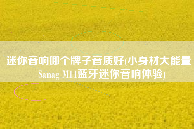 迷你音响哪个牌子音质好(小身材大能量｜Sanag M11蓝牙迷你音响体验)