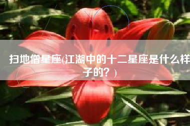 扫地僧星座(江湖中的十二星座是什么样子的？)