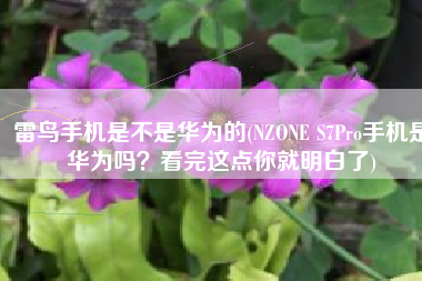 雷鸟手机是不是华为的(NZONE S7Pro手机是华为吗？看完这点你就明白了)