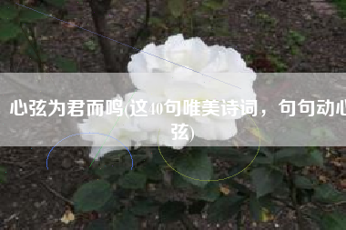 心弦为君而鸣(这40句唯美诗词，句句动心弦)