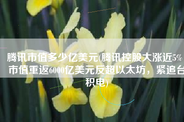腾讯市值多少亿美元(腾讯控股大涨近5%，市值重返6000亿美元反超以太坊，紧追台积电)