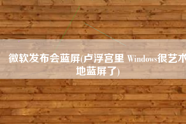 微软发布会蓝屏(卢浮宫里 Windows很艺术地蓝屏了)