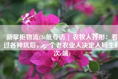 新掌柜物流(36氪专访 | 农牧人孙彤：看过各种坑后，一个老农业人决定入局生鲜次c端)