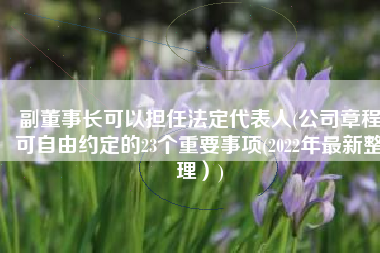 副董事长可以担任法定代表人(公司章程可自由约定的23个重要事项(2022年最新整理）)