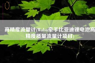 高精度流量计(Walsn牵手比亚迪锂电池高精度质量流量计项目)