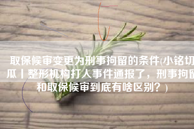 取保候审变更为刑事拘留的条件(小铭切瓜丨整形机构打人事件通报了，刑事拘留和取保候审到底有啥区别？)