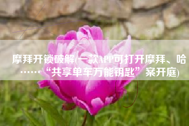 摩拜开锁破解(一款APP可打开摩拜、哈啰……“共享单车万能钥匙”案开庭)