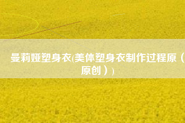 曼莉娅塑身衣(美体塑身衣制作过程原（原创）)