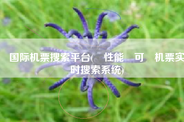 国际机票搜索平台(⾼性能⾼可⽤机票实时搜索系统)