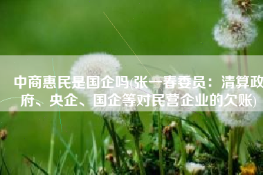 中商惠民是国企吗(张一春委员：清算政府、央企、国企等对民营企业的欠账)