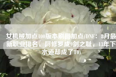 女机械加点100版本刷图加点(DNF：8月最新职业排名，阿修罗成9剑之耻，13年下水道却成了T0)