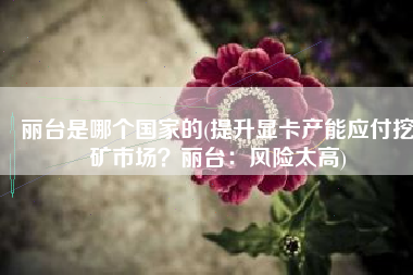 丽台是哪个国家的(提升显卡产能应付挖矿市场？丽台：风险太高)
