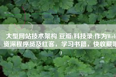 大型网站技术架构 豆瓣(科技录:作为Web资深程序员及红客，学习书籍，快收藏吧)