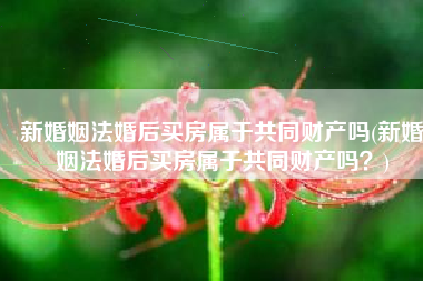 新婚姻法婚后买房属于共同财产吗(新婚姻法婚后买房属于共同财产吗？)