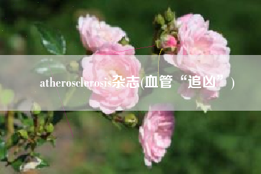 atherosclerosis杂志(血管“追凶”)