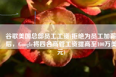 谷歌美国总部员工工资(拒绝为员工加薪后，Google将四名高管工资提高至100万美元)