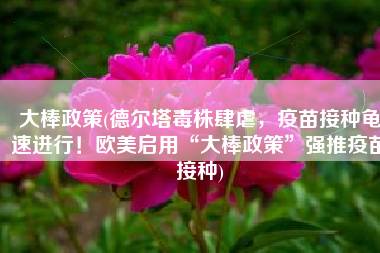 大棒政策(德尔塔毒株肆虐，疫苗接种龟速进行！欧美启用“大棒政策”强推疫苗接种)
