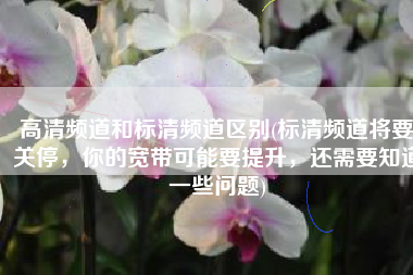 高清频道和标清频道区别(标清频道将要关停，你的宽带可能要提升，还需要知道一些问题)