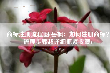 商标注册流程图(岳枫：如何注册商标？流程步骤超详细抓紧收藏)
