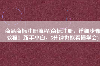 商品商标注册流程(商标注册，详细步骤教程！新手小白，5分钟也能看懂学会)