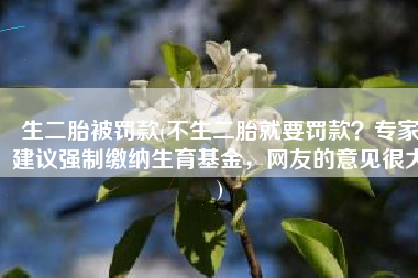 生二胎被罚款(不生二胎就要罚款？专家建议强制缴纳生育基金，网友的意见很大)