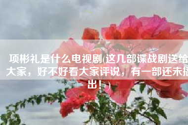 项彬礼是什么电视剧(这几部谍战剧送给大家，好不好看大家评说，有一部还未播出！)