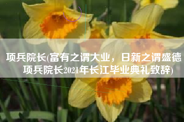项兵院长(富有之谓大业，日新之谓盛德 | 项兵院长2021年长江毕业典礼致辞)