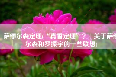 萨缪尔森定理(“真香定理”？| 关于萨缪尔森和罗振宇的一些联想)