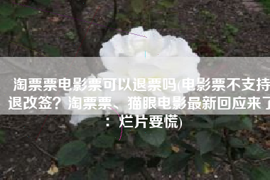 淘票票电影票可以退票吗(电影票不支持退改签？淘票票、猫眼电影最新回应来了：烂片要慌)