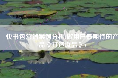 快书包营销案例分析(做用户最期待的产品《打造爆品》)