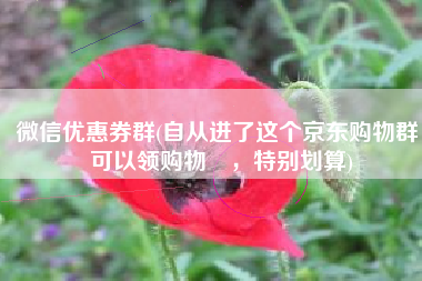 微信优惠券群(自从进了这个京东购物群，可以领购物劵，特别划算)