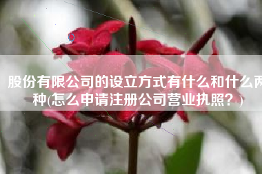 股份有限公司的设立方式有什么和什么两种(怎么申请注册公司营业执照？)