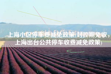 上海小区停车费减免政策(封控期免收，上海出台公共停车收费减免政策)