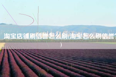 淘宝店铺刷信誉怎么刷(淘宝怎么刷信誉？)