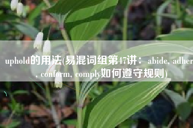 uphold的用法(易混词组第47讲：abide, adhere, conform, comply如何遵守规则)
