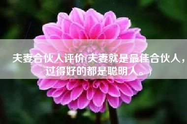 夫妻合伙人评价(夫妻就是最佳合伙人，过得好的都是聪明人。)