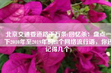 北京交通委道路千万条(回忆杀：盘点一下2010年至2019年的28个网络流行语，你还记得几个)