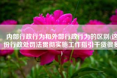 内部行政行为和外部行政行为的区别(这份行政处罚法贯彻实施工作指引干货很多)