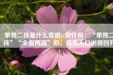 单独二孩是什么意思?(统计局：“单独二孩”“全面两孩”后，出生人口出现回升)