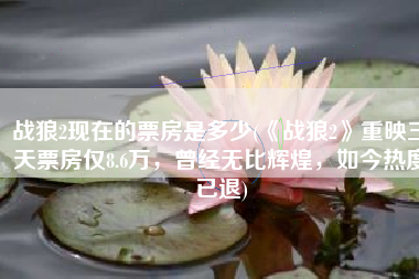 战狼2现在的票房是多少(《战狼2》重映三天票房仅8.6万，曾经无比辉煌，如今热度已退)