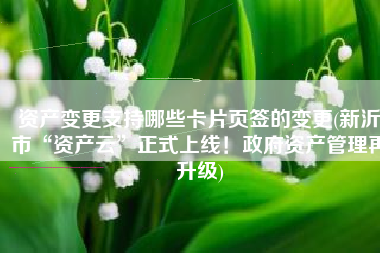 资产变更支持哪些卡片页签的变更(新沂市“资产云”正式上线！政府资产管理再升级)