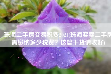 珠海二手房交易税费2021(珠海买卖二手房需缴纳多少税费？这篇干货请收好)