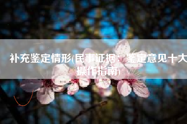 补充鉴定情形(民事证据：鉴定意见十大操作指南)