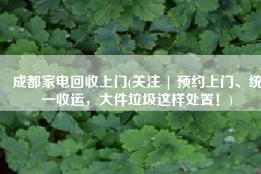 成都家电回收上门(关注 | 预约上门、统一收运，大件垃圾这样处置！)
