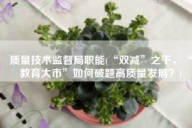 质量技术监督局职能(“双减”之下，“教育大市”如何破题高质量发展？)