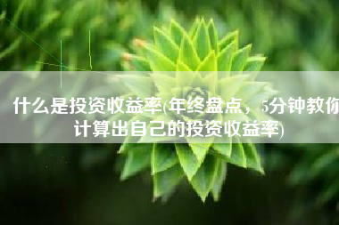 什么是投资收益率(年终盘点，5分钟教你计算出自己的投资收益率)