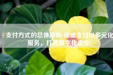 支付方式的总体原则(银盛支付以多元化服务，打造数字化企业)