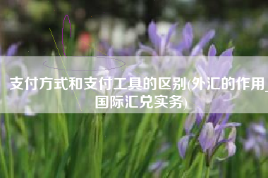 支付方式和支付工具的区别(外汇的作用_国际汇兑实务)