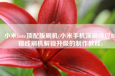 小米note顶配版刷机(小米手机深刷绕过BL锁线刷机解锁升级的制作教程)