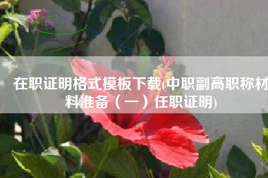 在职证明格式模板下载(中职副高职称材料准备（一）任职证明)